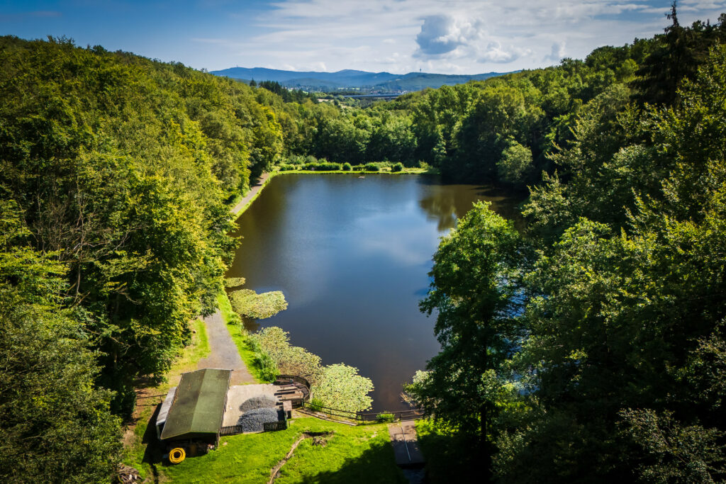 Der Waldsee im Theissbachtal, Niedernhausen, Foto: Jörg Halisch