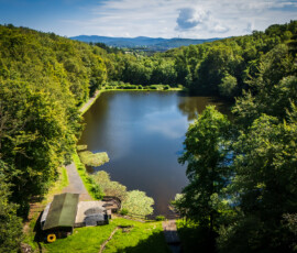 Der Waldsee im Theissbachtal, Niedernhausen, Foto: Jörg Halisch