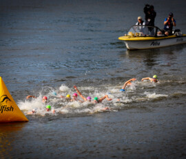 Dresden, 31.07.2025, Die Finals, Triathlon Mixed Relay Elite. Die Finals, Triathlon Mixed Relay Elite.